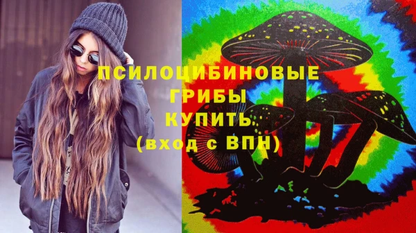 прущие грибы Баксан