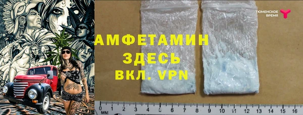прущие грибы Баксан