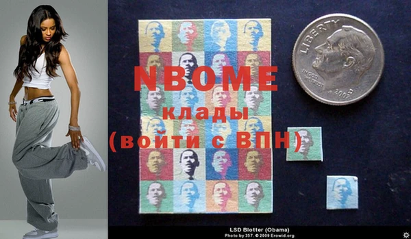 прущие грибы Баксан