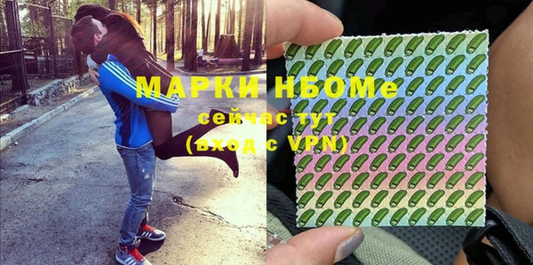 прущие грибы Баксан