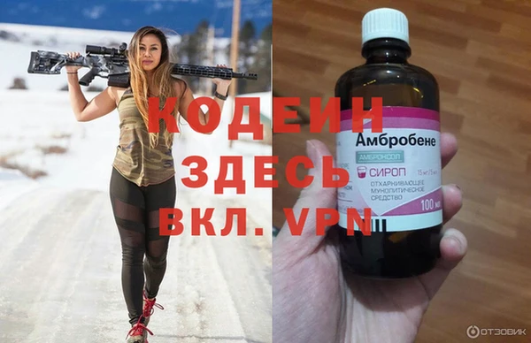 прущие грибы Баксан